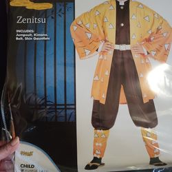 Demon Slayer. Costume