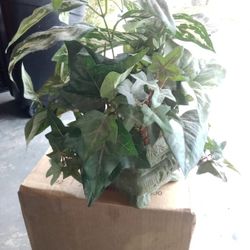 Artificial Plant
