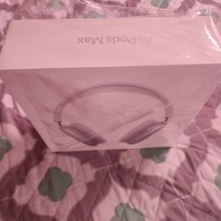 Apple Headphones 