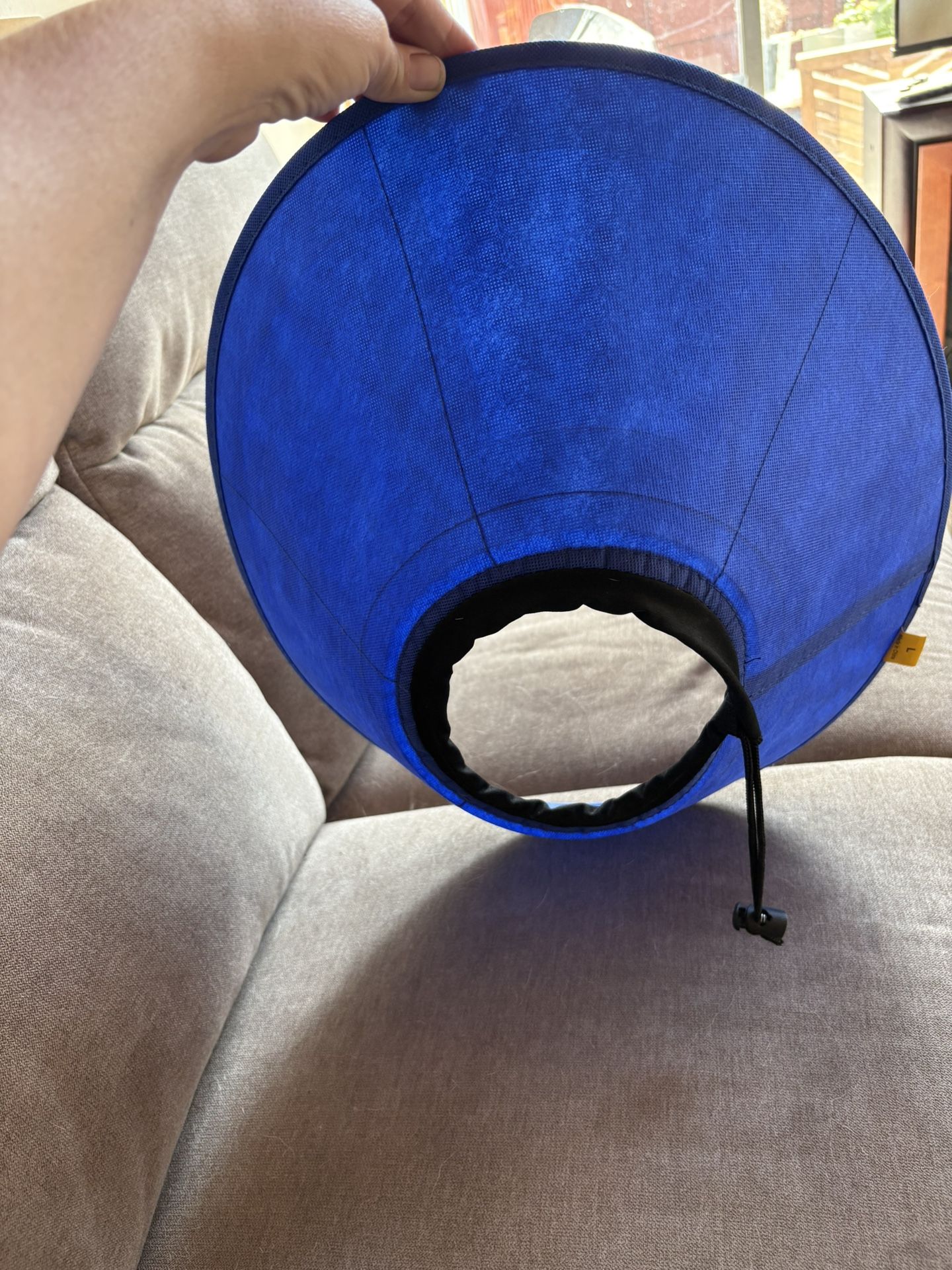 Elizabethan Dog Cone - Post-op