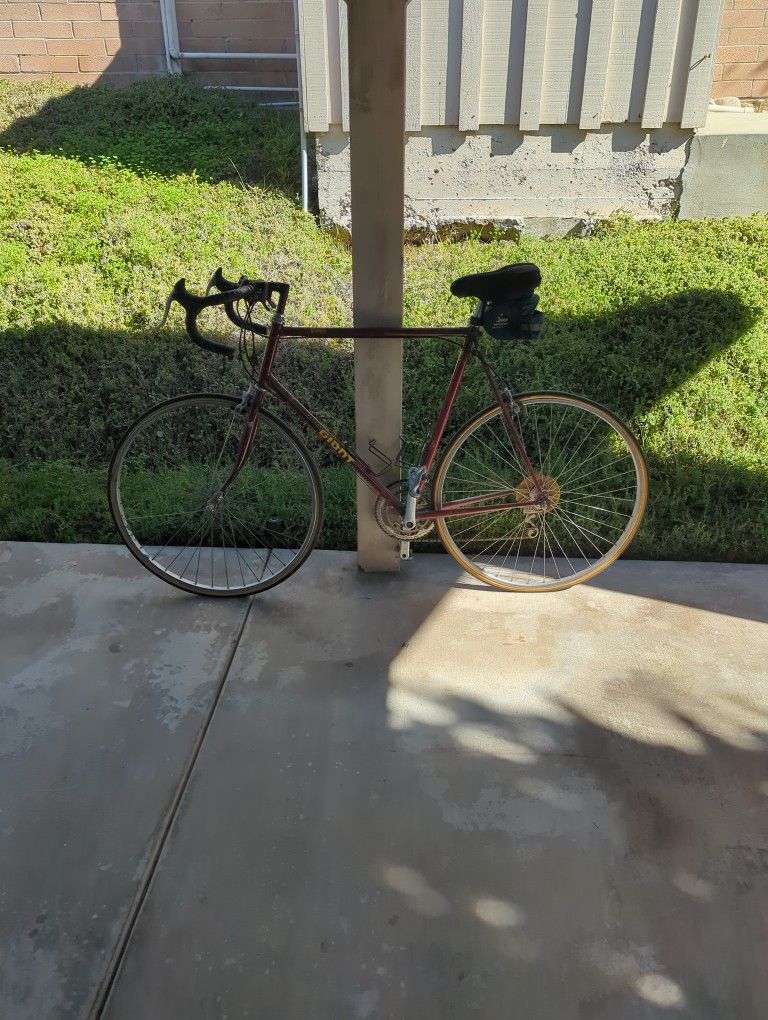 Men's Giant Model Road Bike