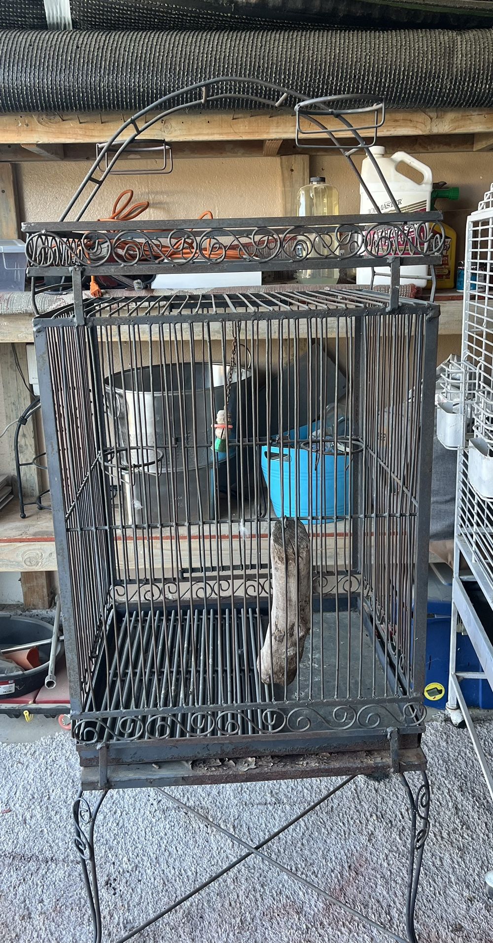 Iron Bird Cage🦜