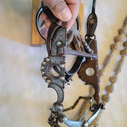 Horse Bit, Headstall, Rein Combination