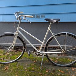Vintage Cruiser Bike