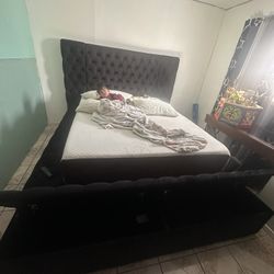 Queen Bed Frame