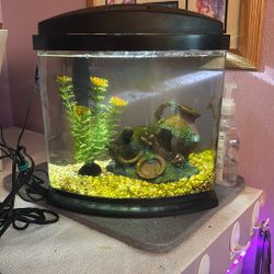 2 Fish Tanks/3 Heaters/1 Water Filter + 2 Filters/Food/Water Treatment/Rocks/Decorations/Net/Cleaning Sponge 