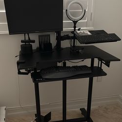 Pro Mobile Standing Desk / Home Office Workstation (Full Setup)