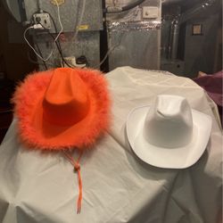 Cowboy Hats, All Different Colors