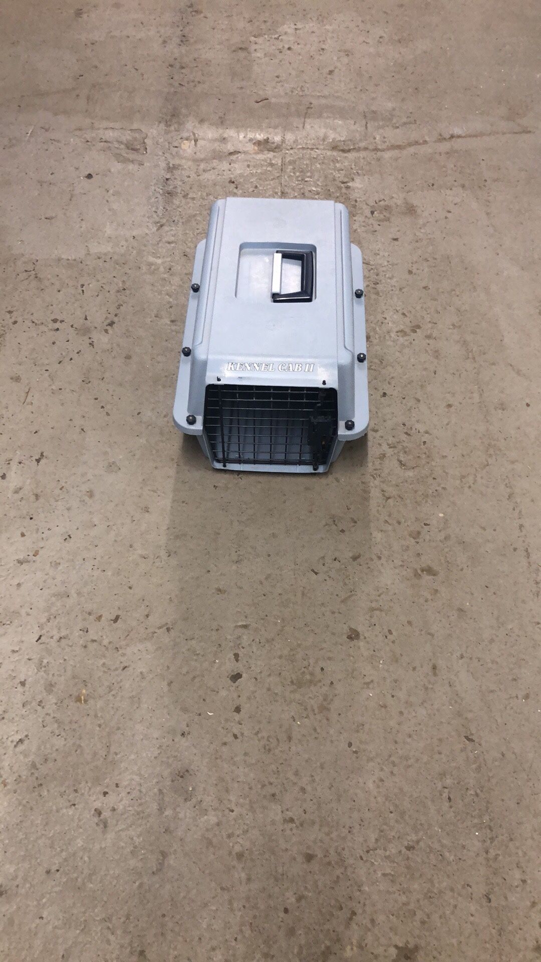 Cat careers like new