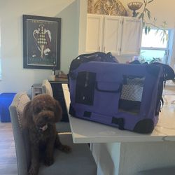 Dog Crate Pet Carrier