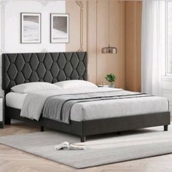 Queen Bedframe Brand New
