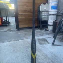 Easton Ghost Baseball Bat 31 inches