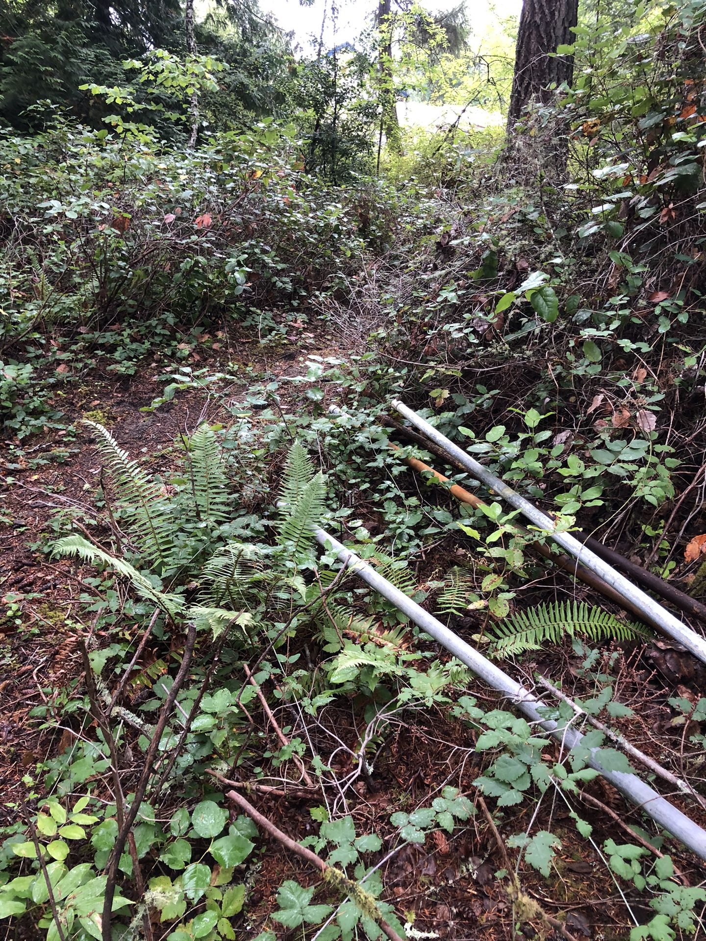 Well Pipe