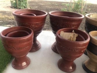 8pc Pot Plants