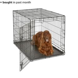42 inch dog crate 