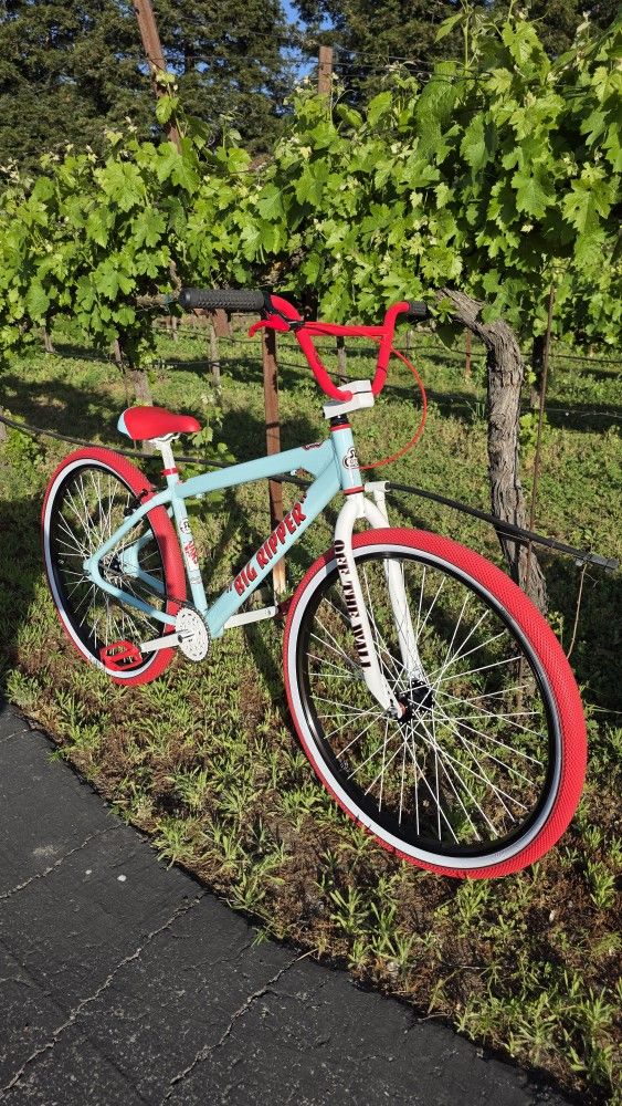 SE BIKES BIG RIPPER VAN'S 29 INCH NEW for Sale in San Martin, CA - OfferUp