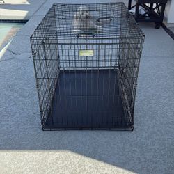 Dog Crate