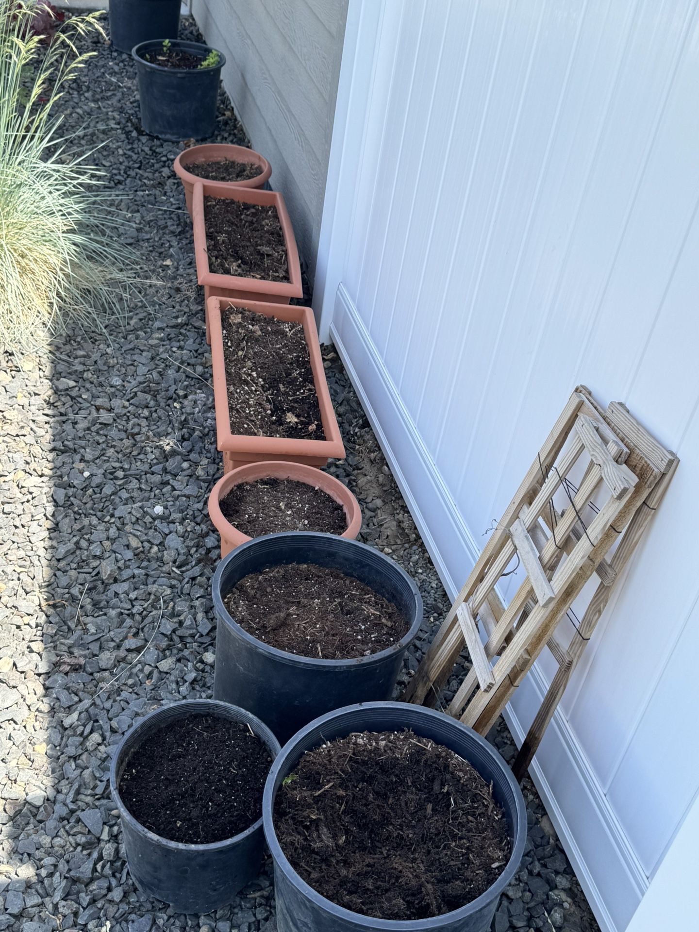 Large Pots With Potting Mix