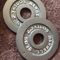 5 Pound Pair Olympic Weight Plates 