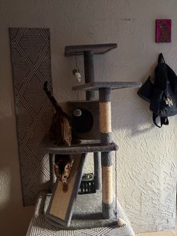 Cat furniture