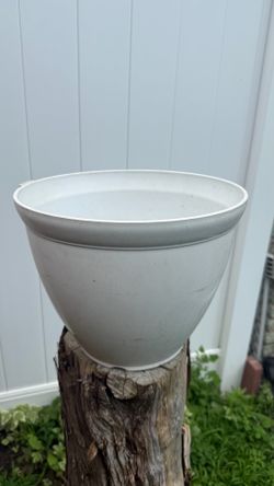 Pot ask $3