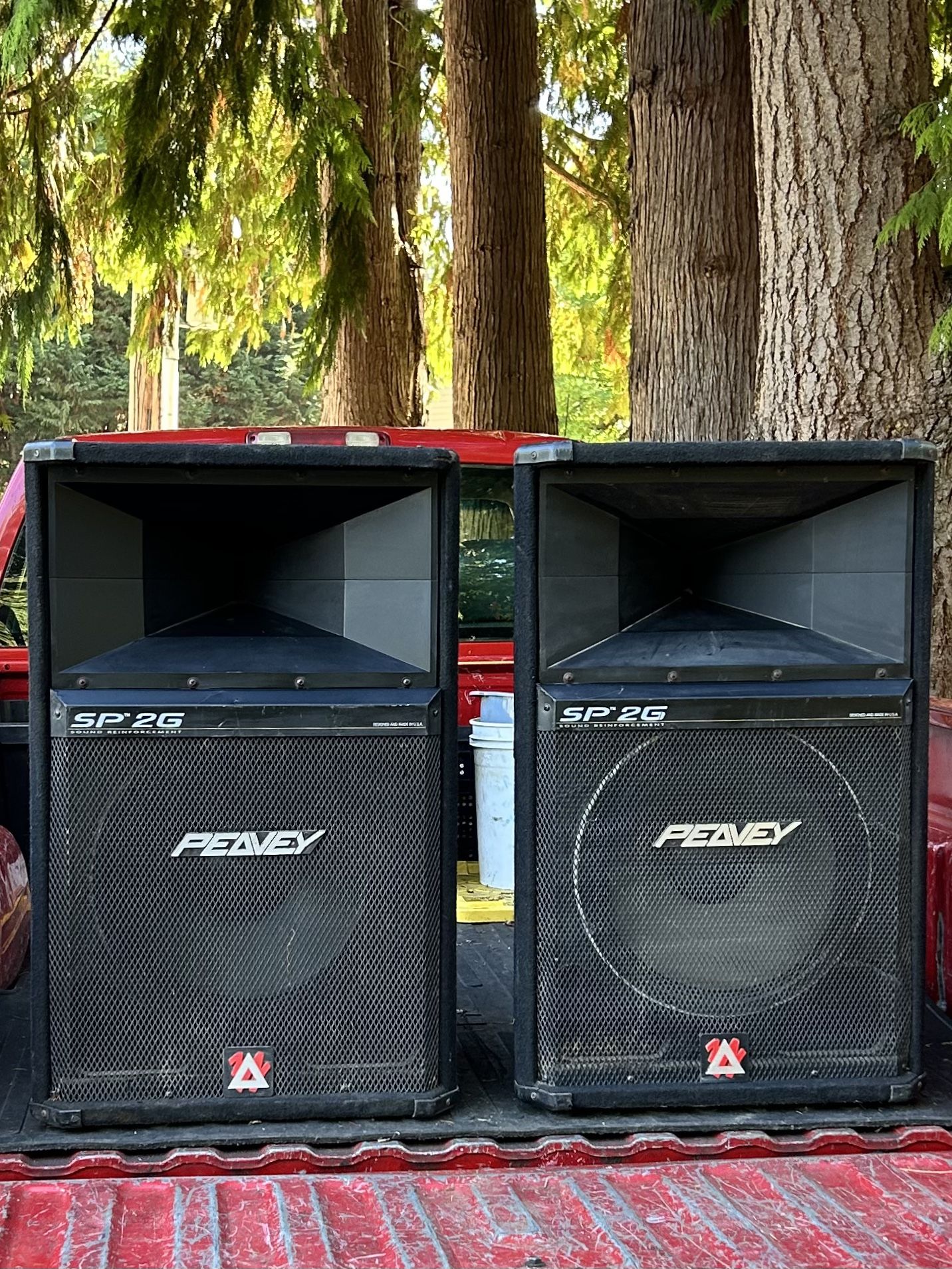 PEAVY SG 2P SPEAKERS