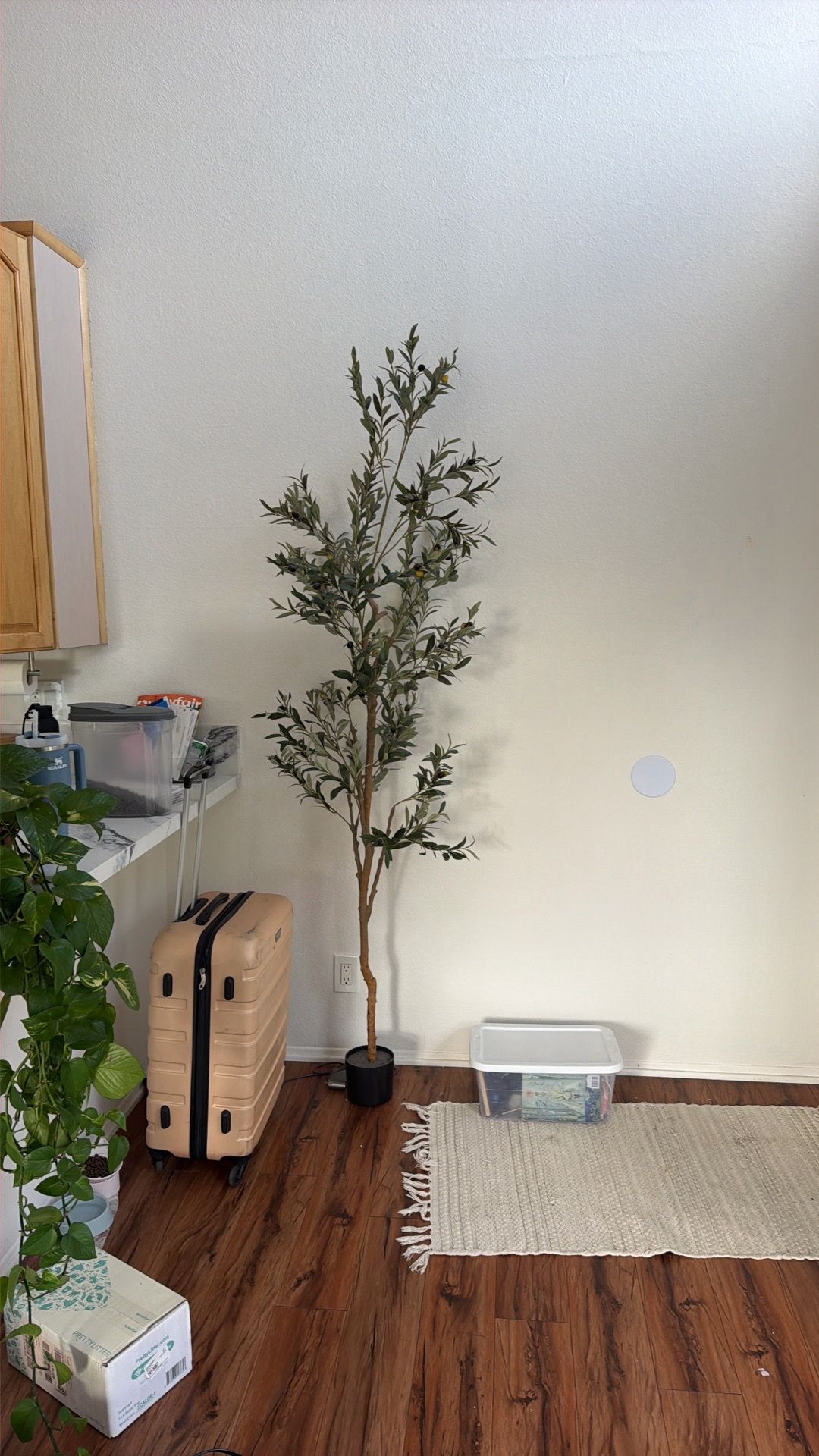 Olive tree- fake
