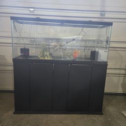 50 Gallon Aquarim Fish Tank Set And Stand