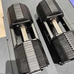 Rep X Pepin Adjustable Dumbbells 125