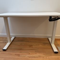 Standing Desk (47x24)