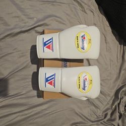 WINNING PRO FIGHT GLOVES 10oz
