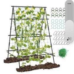 Garden Trellis 