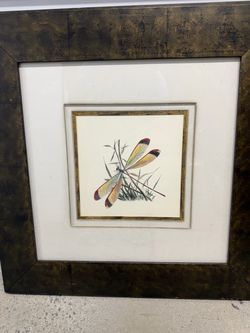 Framed Dragonfly Botanical Art Print