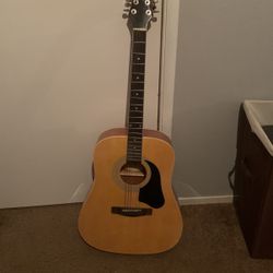 Silver tone Acoustic Guitar 
