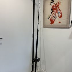 Okuma PCH-C-741XXXH 7’4” Custom Rod, OKUMA MAKAIRA 20II-SEa  