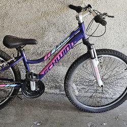 Schwinn Ranger 24" Kids' Mountain Bike - Purple