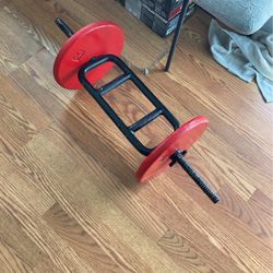 50 Lbs Weights 