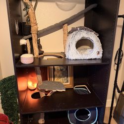  Cat Condo 