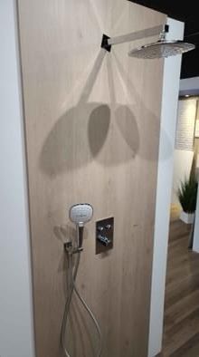 Shower set