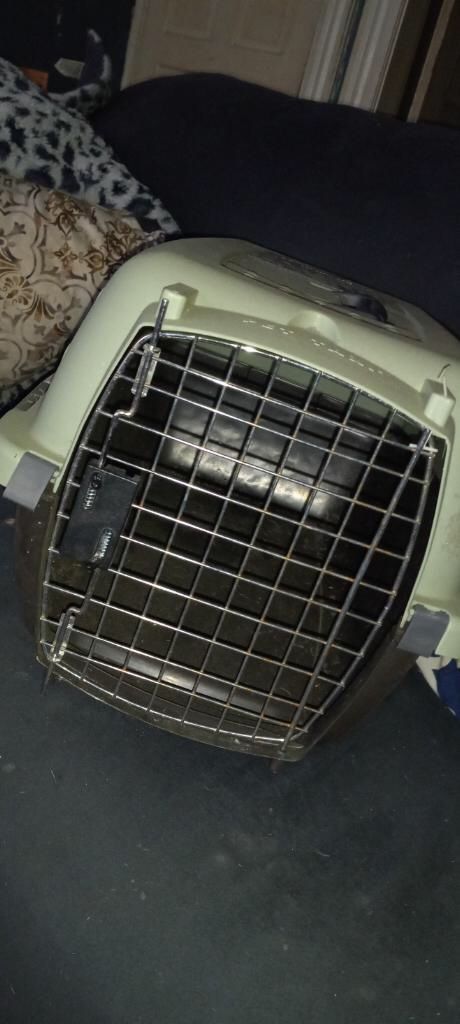 Pet Carrier $20