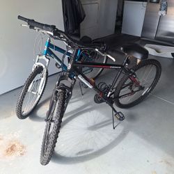 Bike 26 / 24