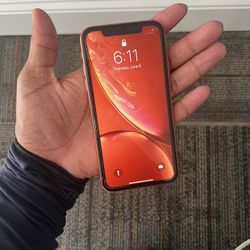iPhone Xr (unlocked)
