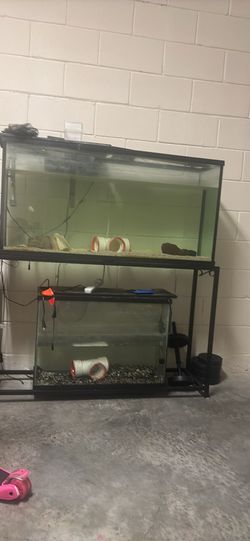 55 & 30 inch fish tank also with the stand