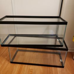20 Gallon long tanks
