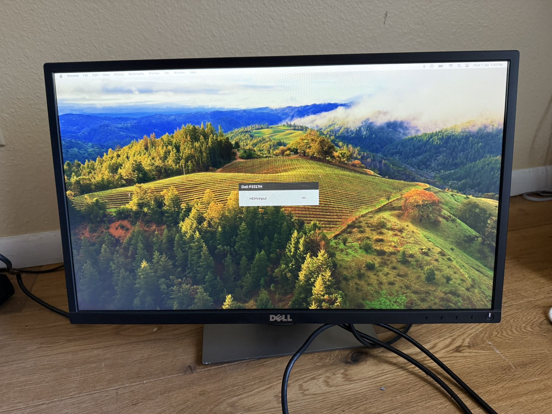 Dell 24” Monitor