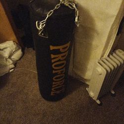 Punching Bag Like New No Damage Rips Tears 