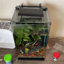 5 Gallon Fish Tank Setup With Decorations And Rocks