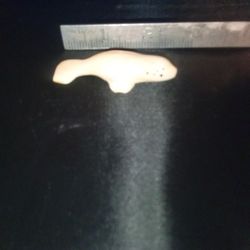 Alaskan Ivory Seal Carving I Think It Said