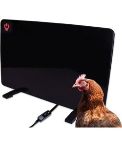 Chicken coop heater