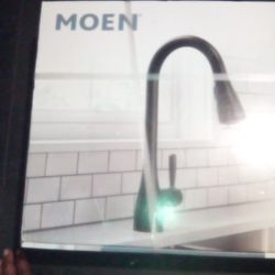 Moen (Doherty Kitchen Faucet)